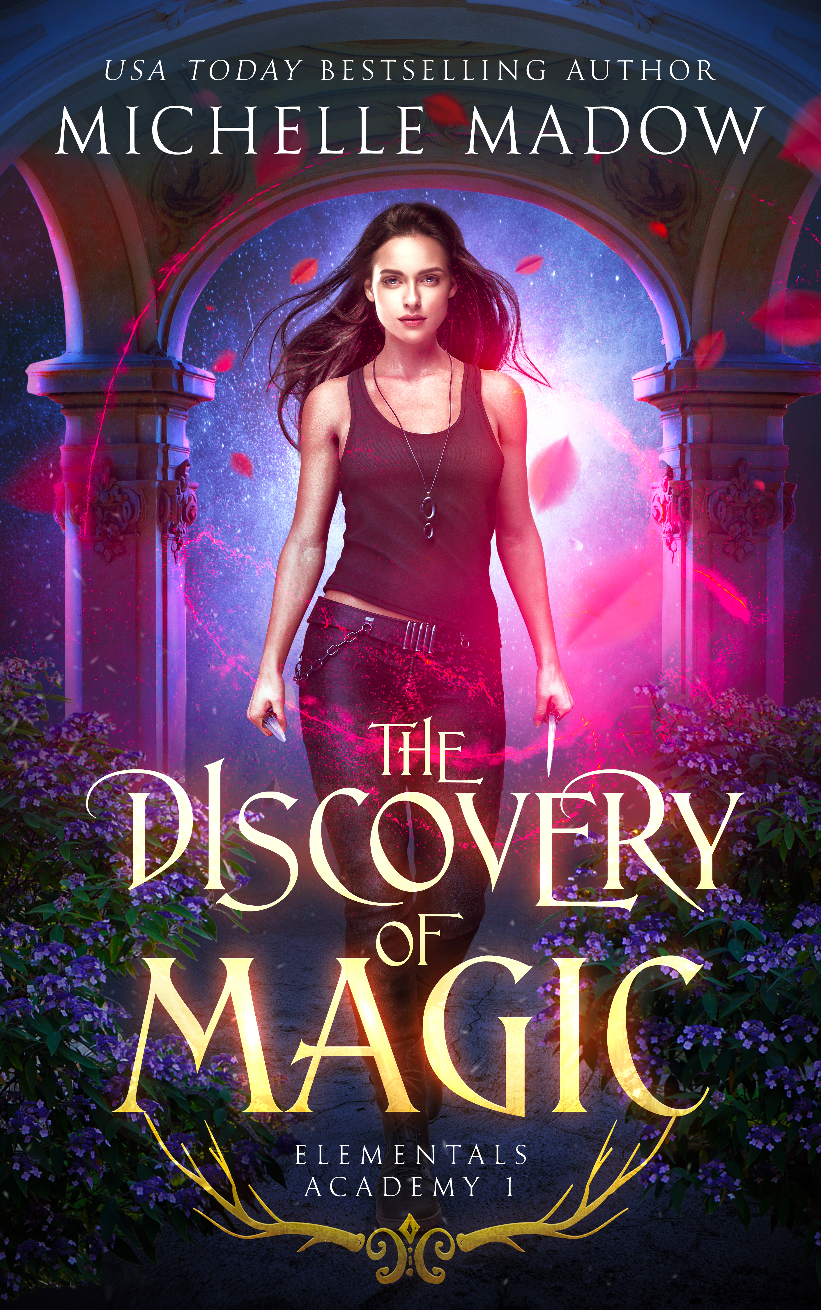 Elementals Academy book cover 1