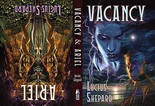 Vacancy & Ariel book cover