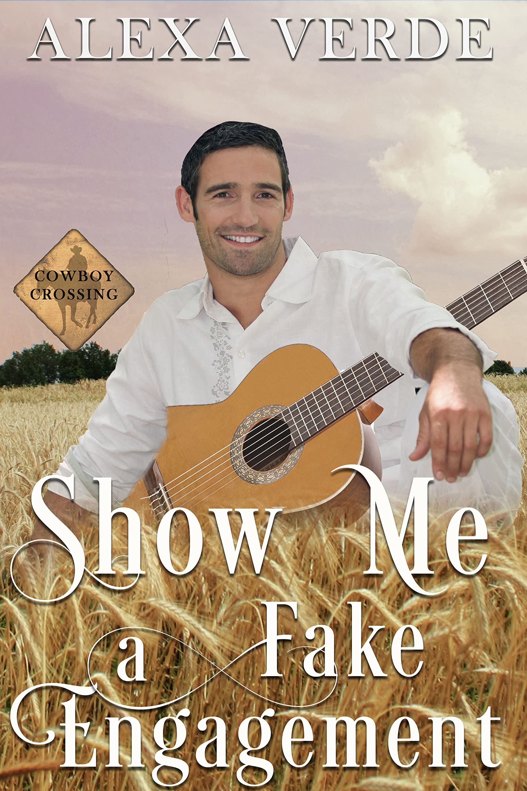 Show Me a Fake Engagement book cover