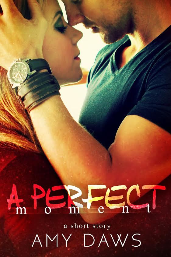 A Perfect Moment book cover