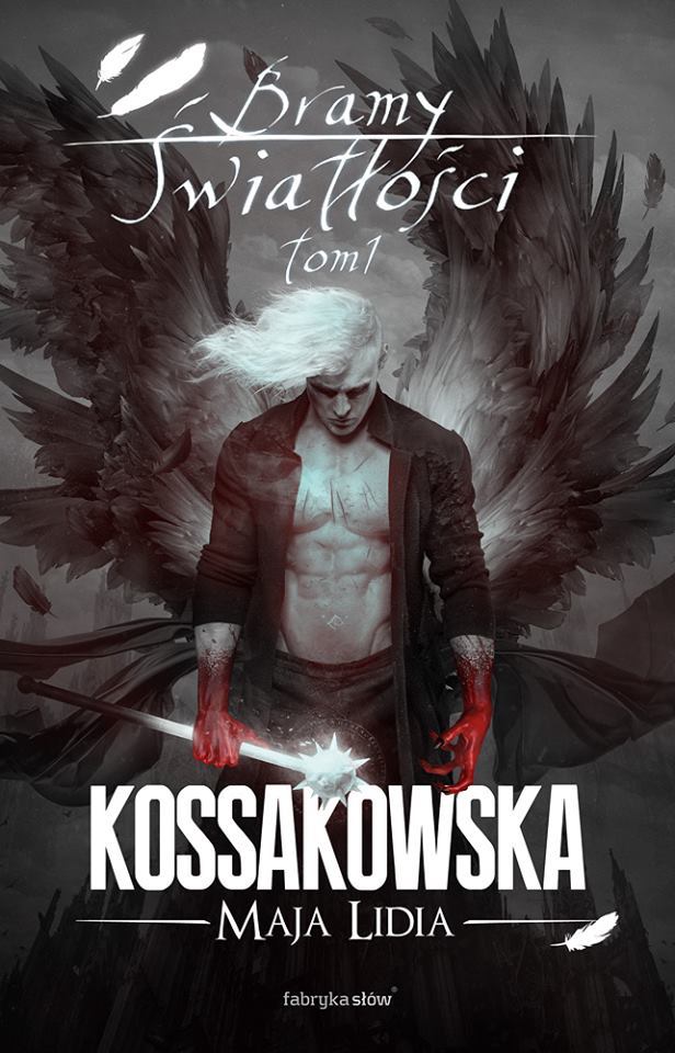 Bramy Światłości. Tom I book cover