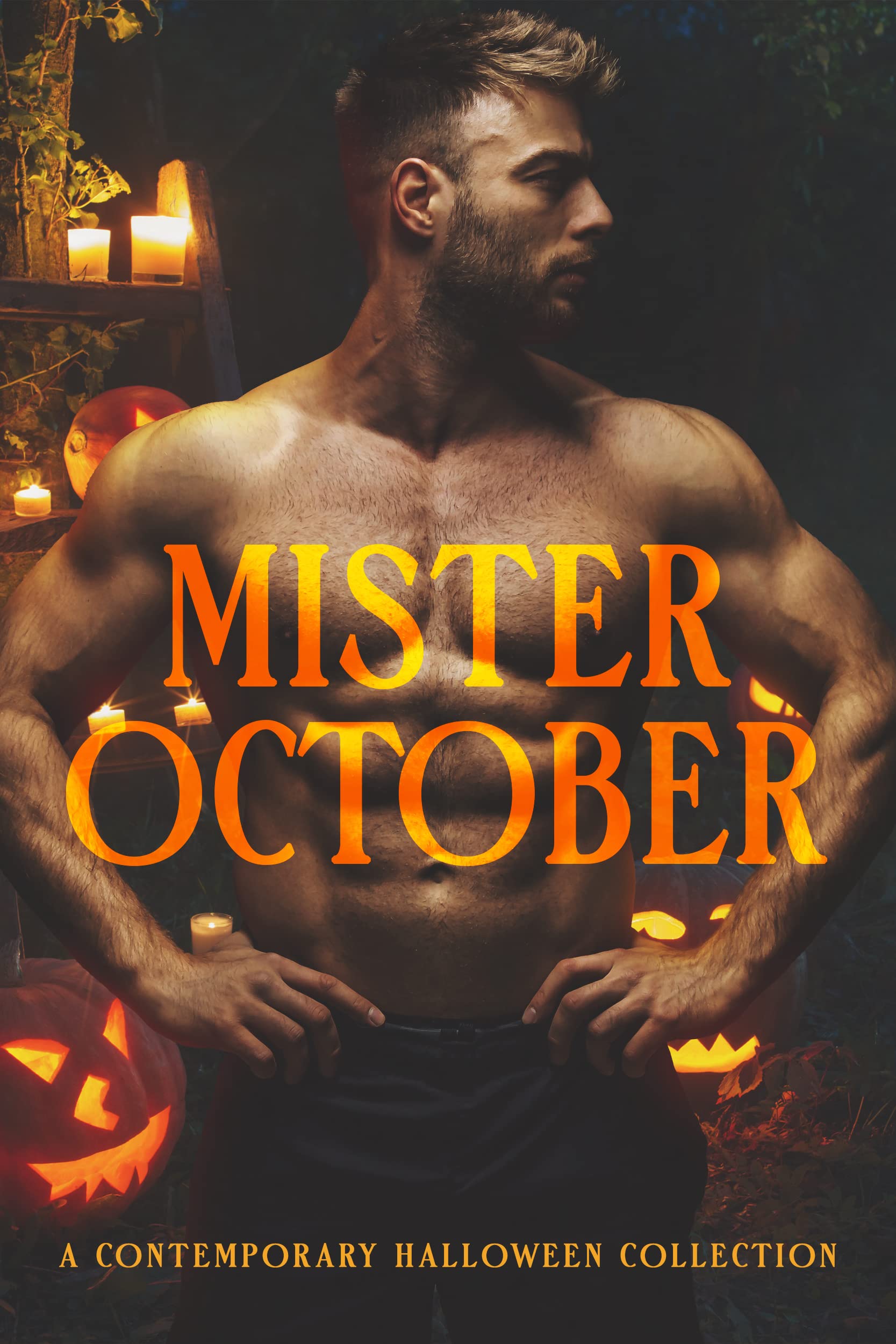Mister October book cover
