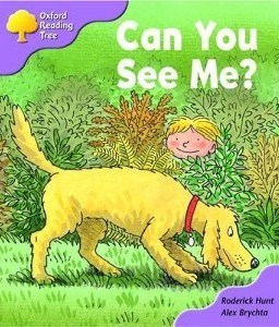 Can You See Me? book cover