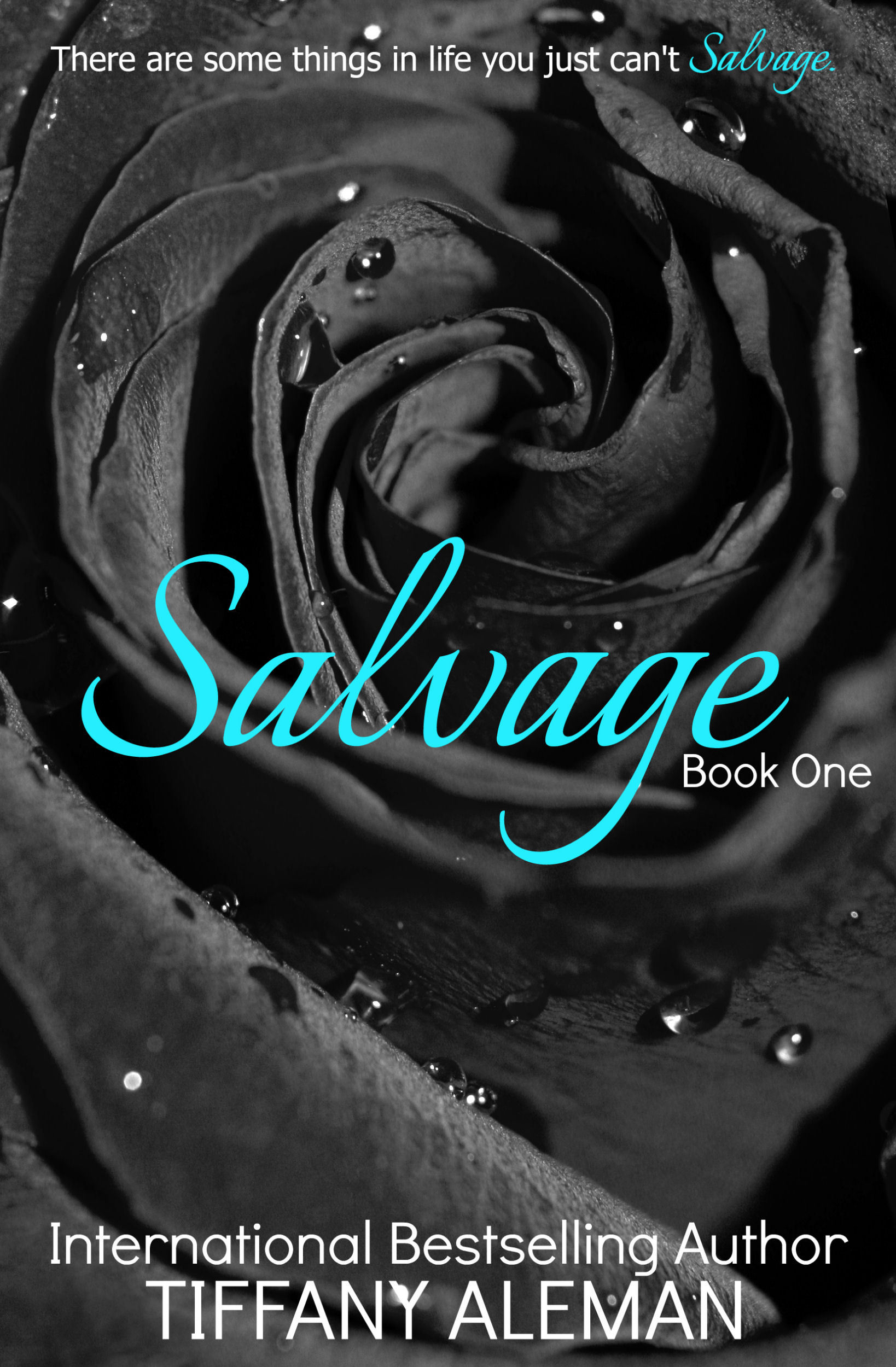 Salvage Duet book cover 1