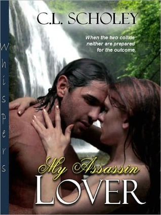 Assassin book cover 2