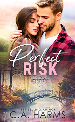 Perfect Risk book cover