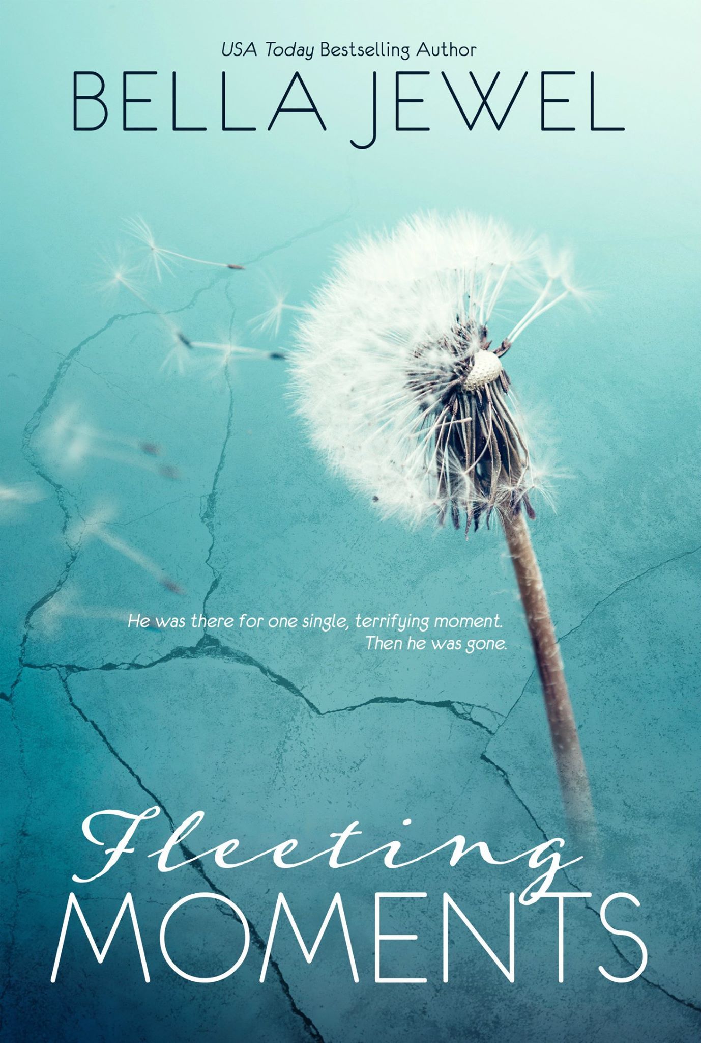 Fleeting Moments book cover