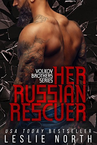Volkov Brothers book cover 2