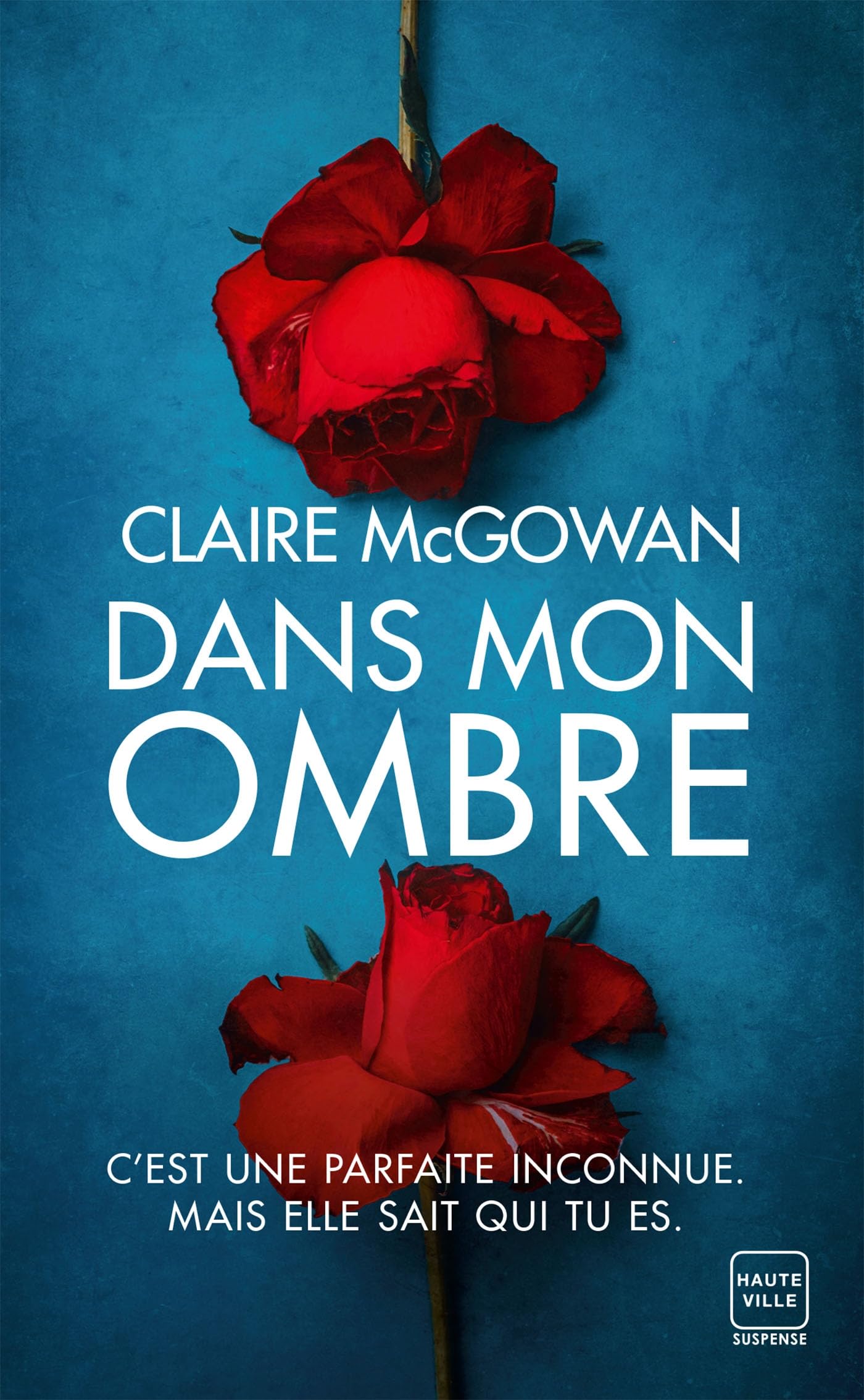 Dans mon ombre book cover