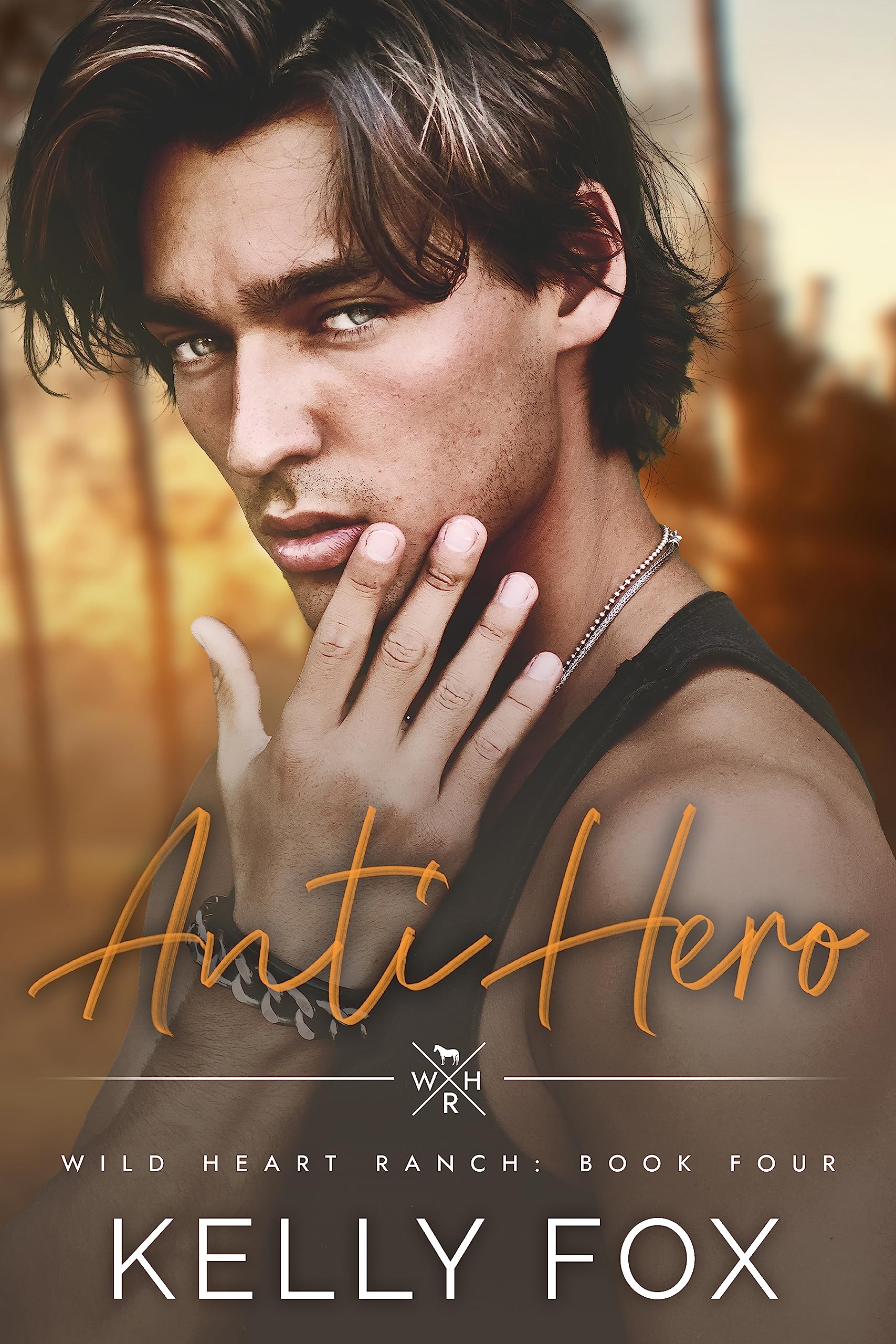 Anti-Hero book cover