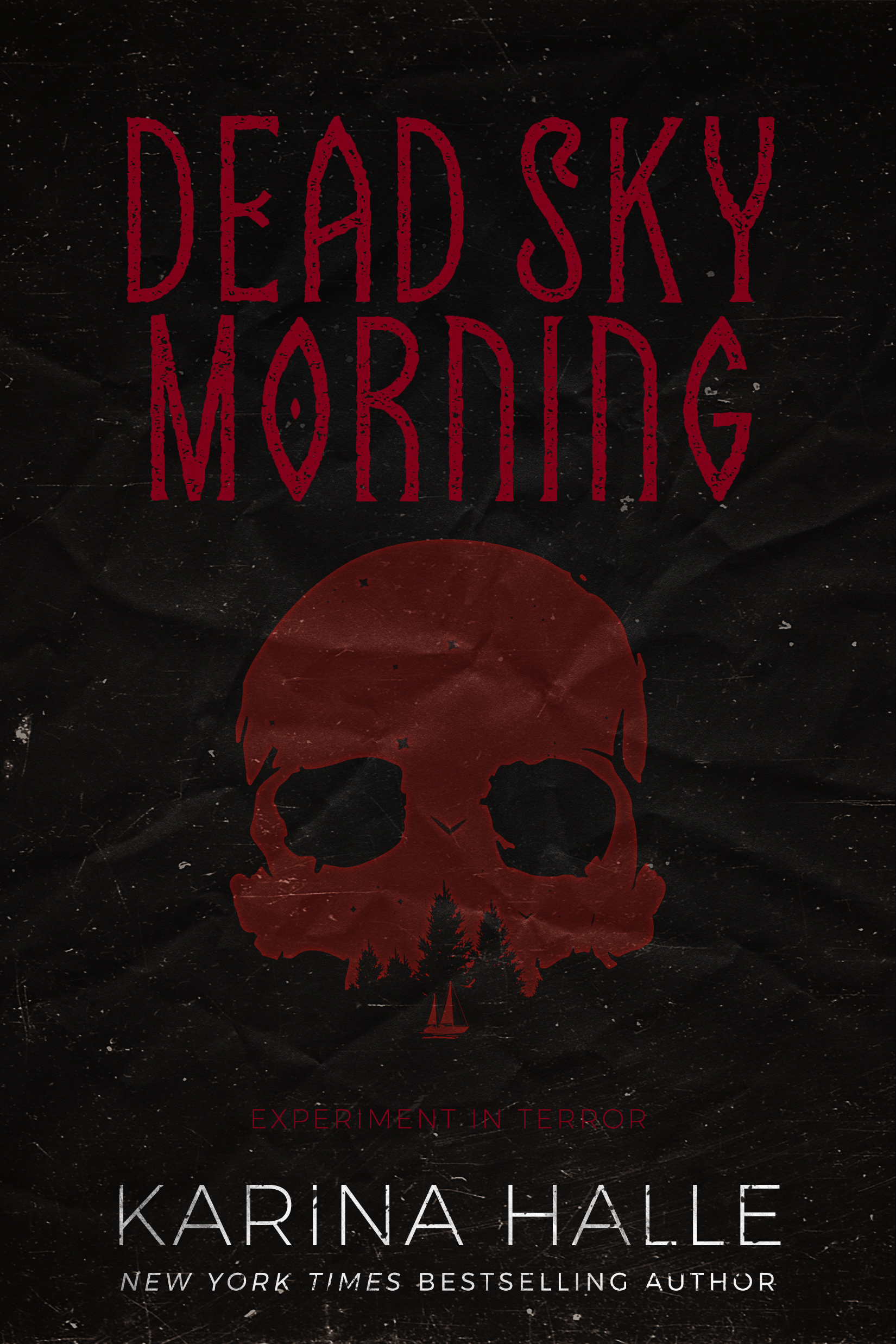 Dead Sky Morning book cover