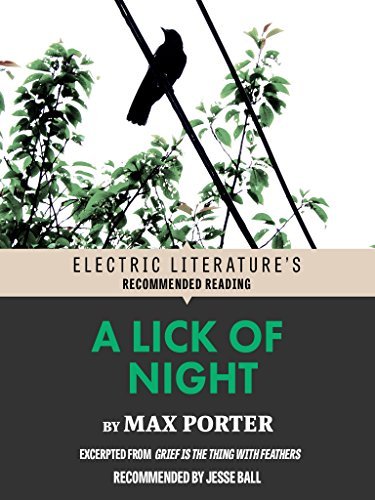 A Lick of Night book cover
