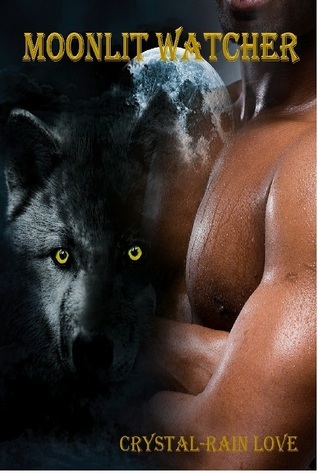 Moonlit book cover 2