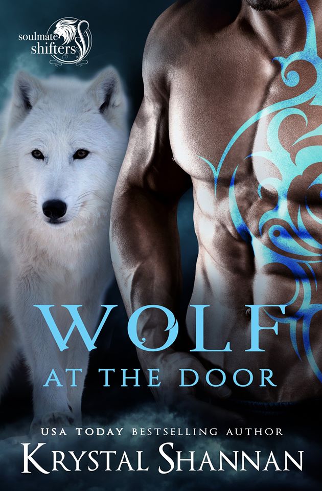 Wolf At The Door book cover