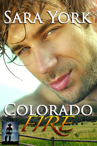 Colorado Protectors book cover 2