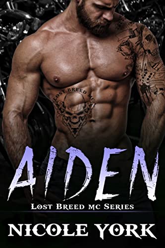 Aiden book cover