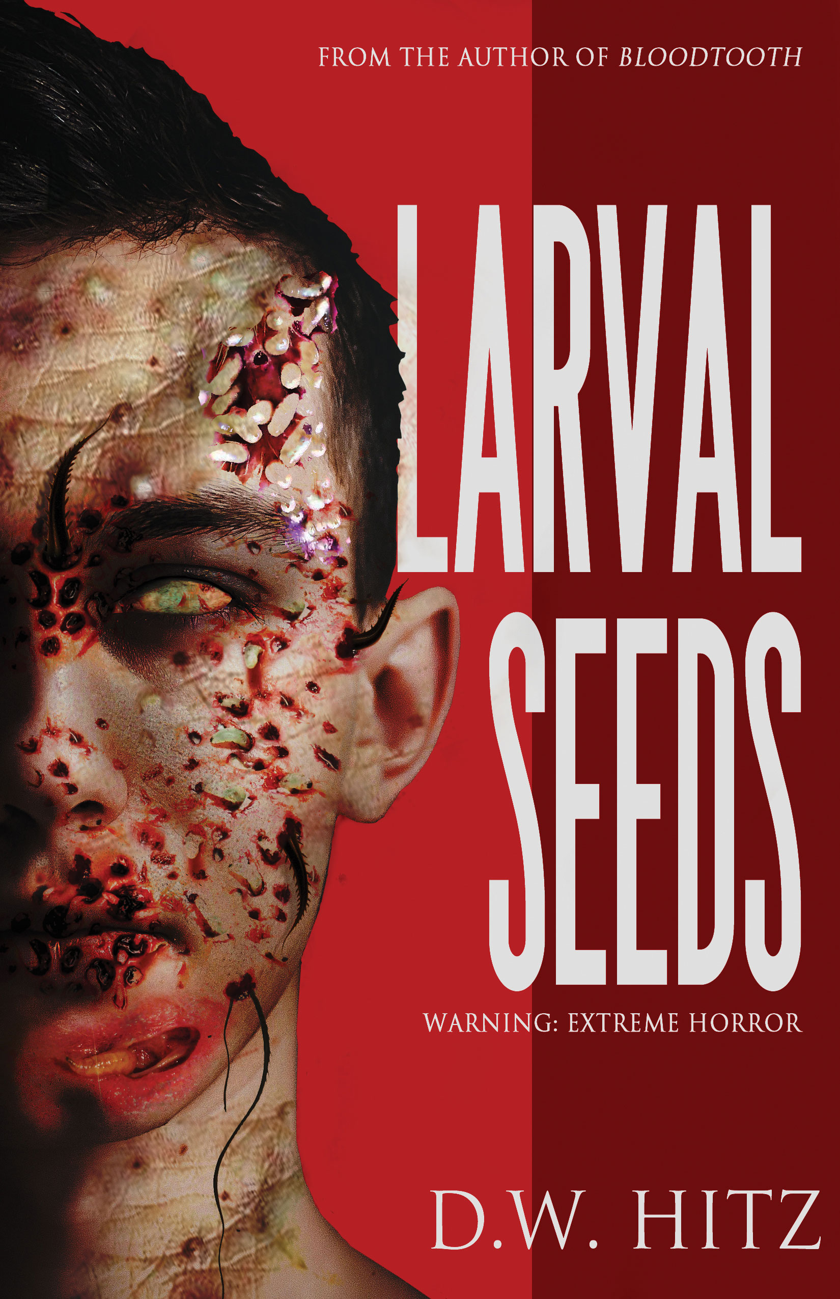 Custer Falls Extreme Horror book cover 1