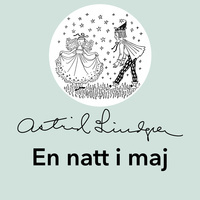 En natt i maj book cover