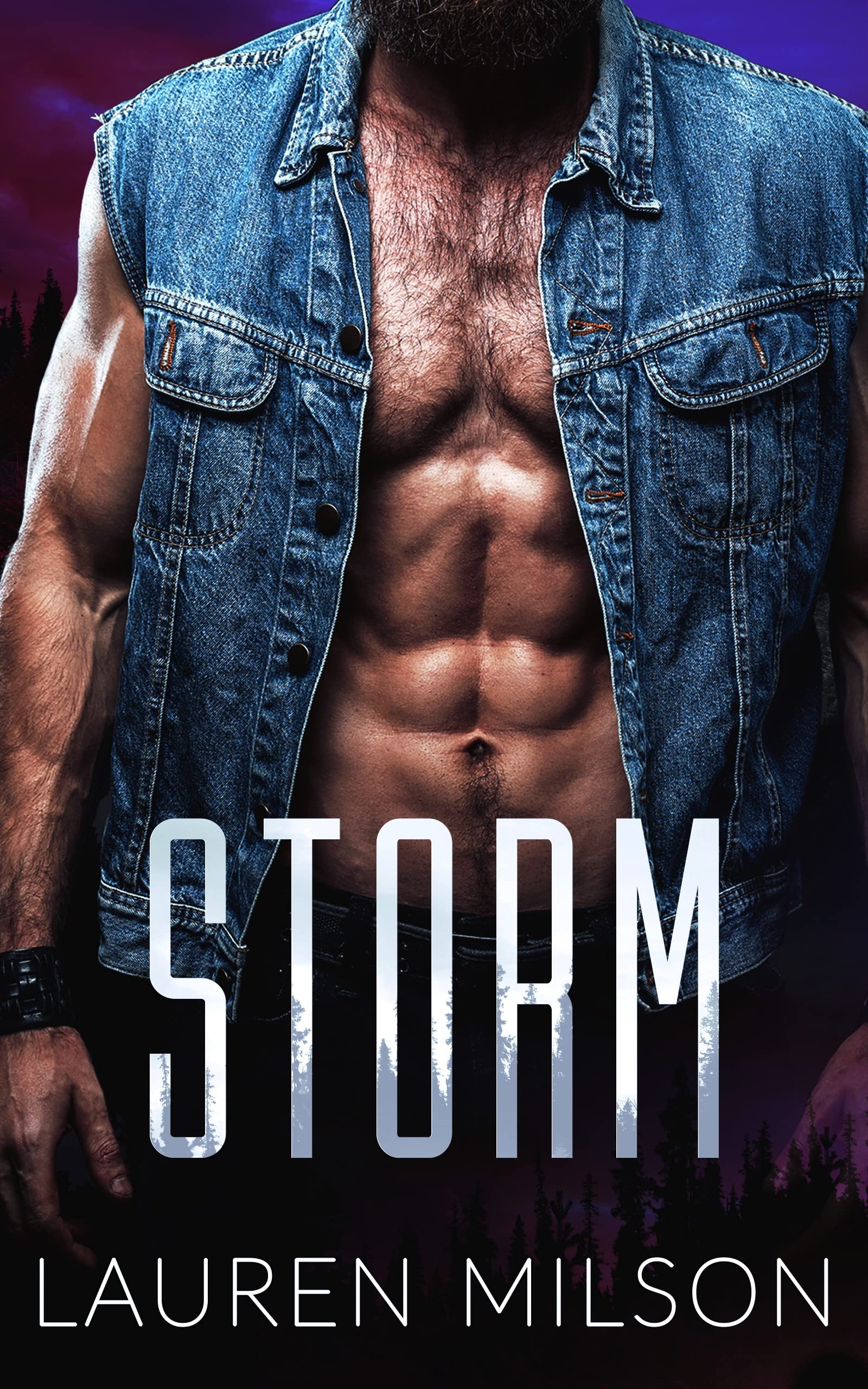 Storm book cover