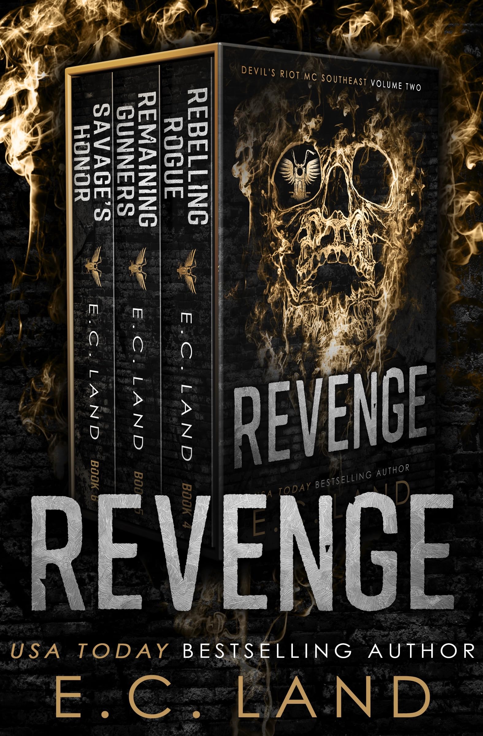 Revenge book cover