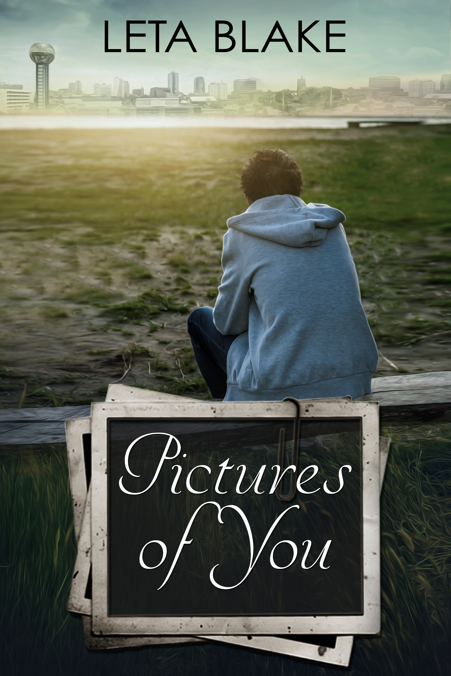 Pictures of You book cover