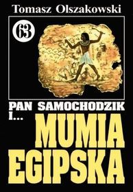 Pan Samochodzik i mumia egipska book cover