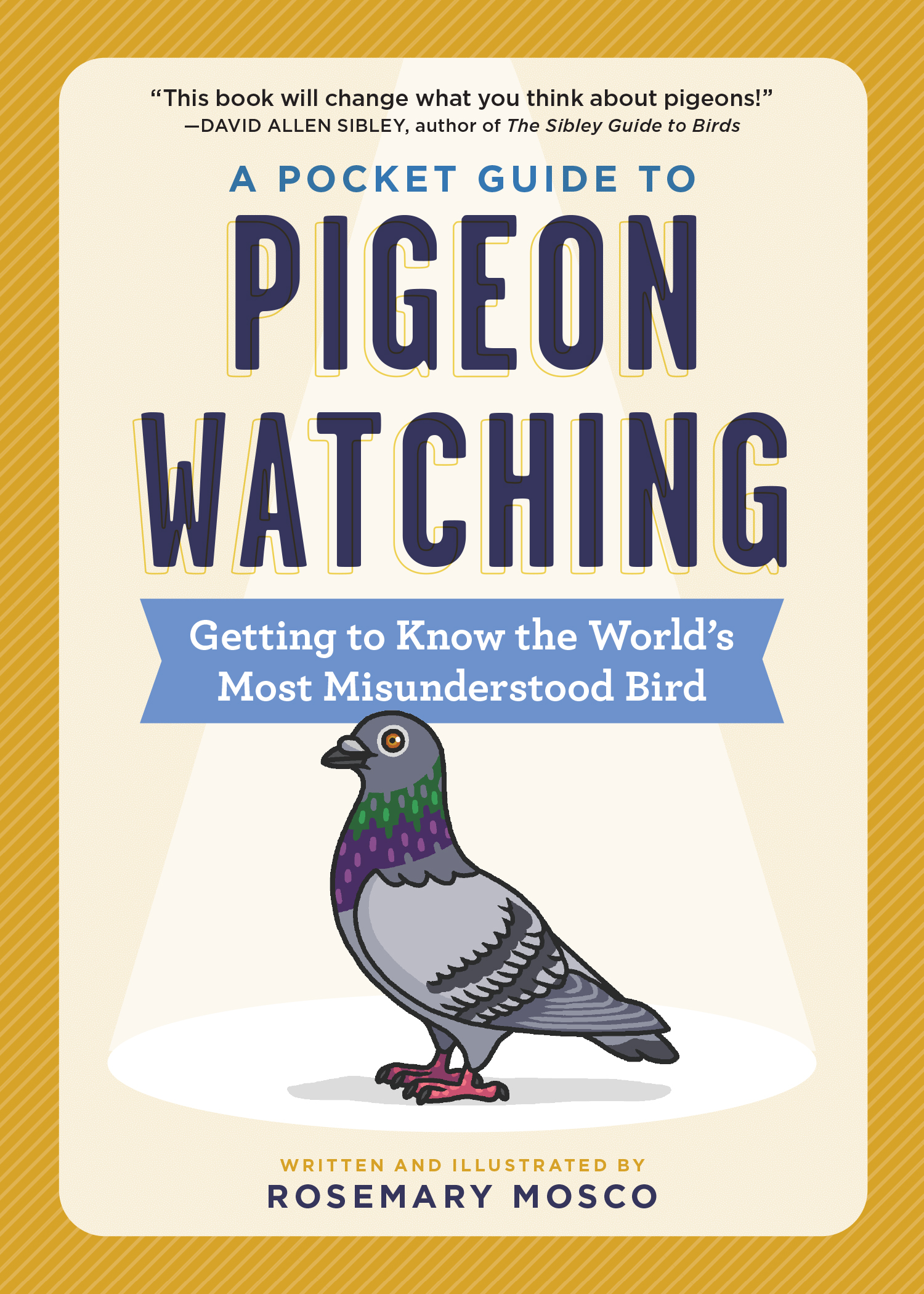 A Pocket Guide to Pigeon Watching book cover