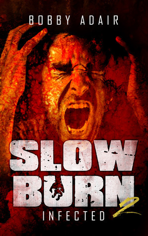 Slow Burn book cover 2