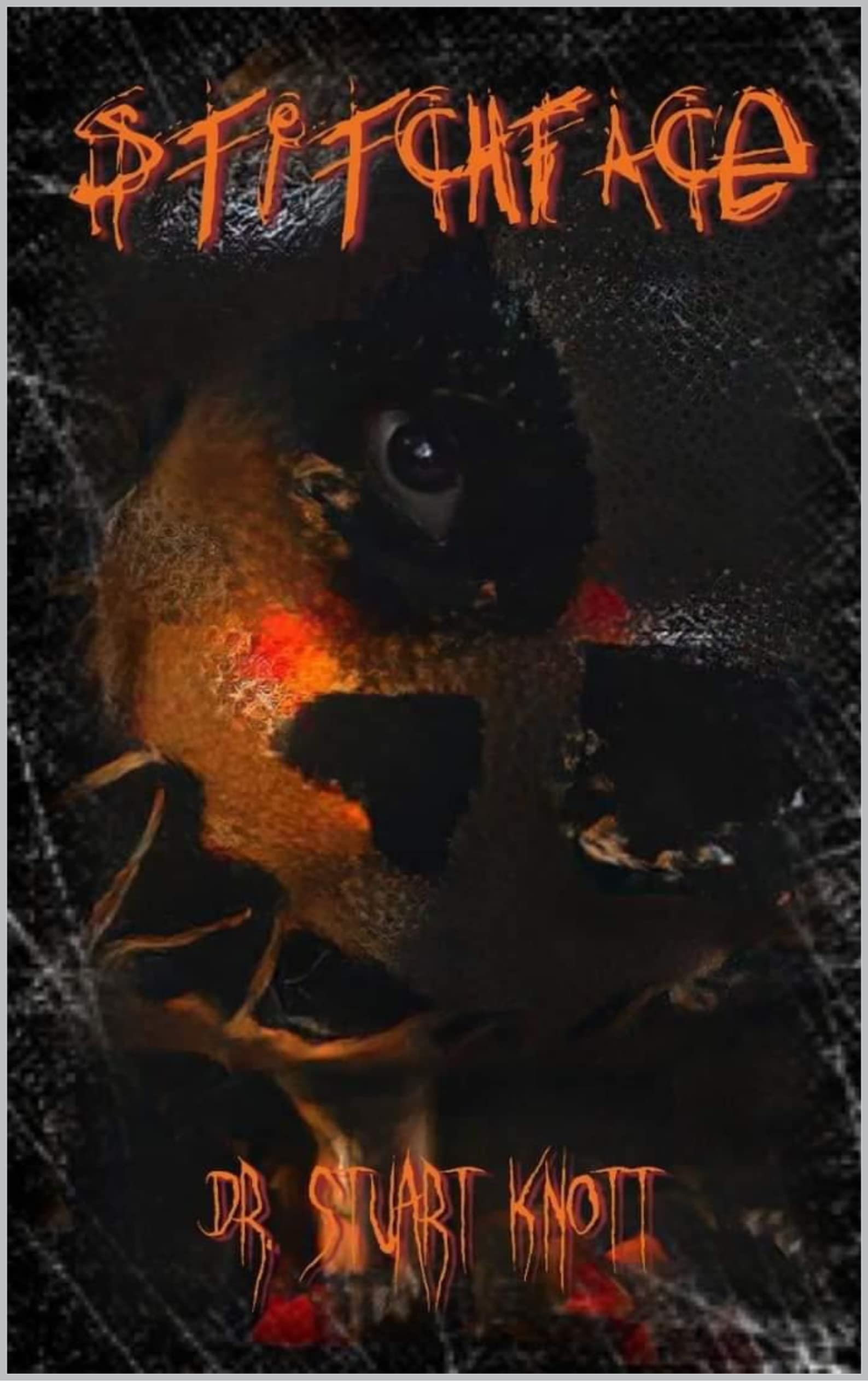Stitchface book cover