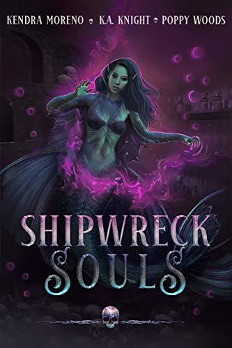 Shipwreck Souls book cover