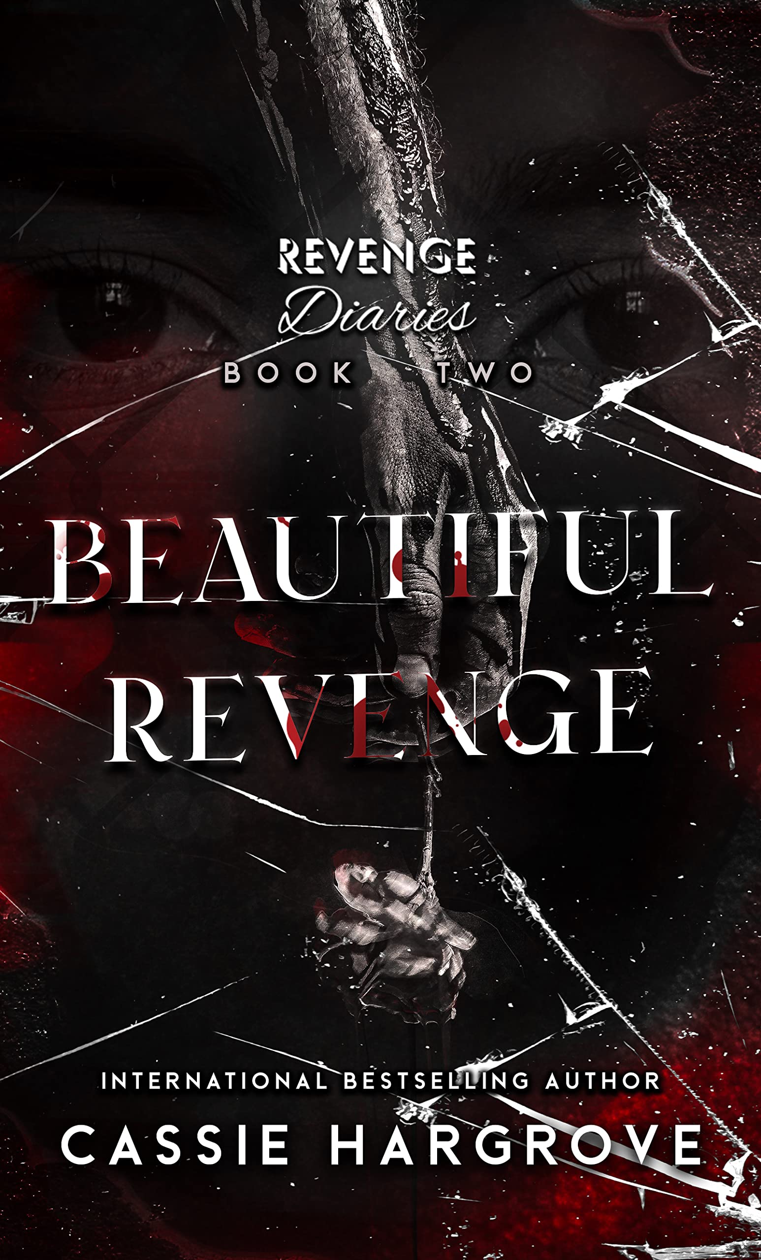 Beautiful Revenge book cover