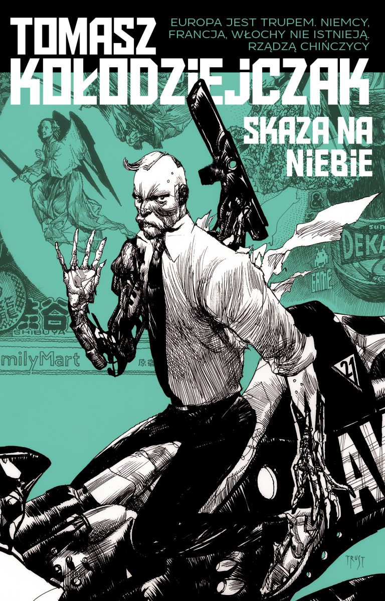 Skaza na niebie book cover