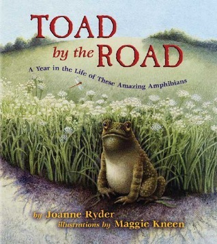 Toad by the Road book cover