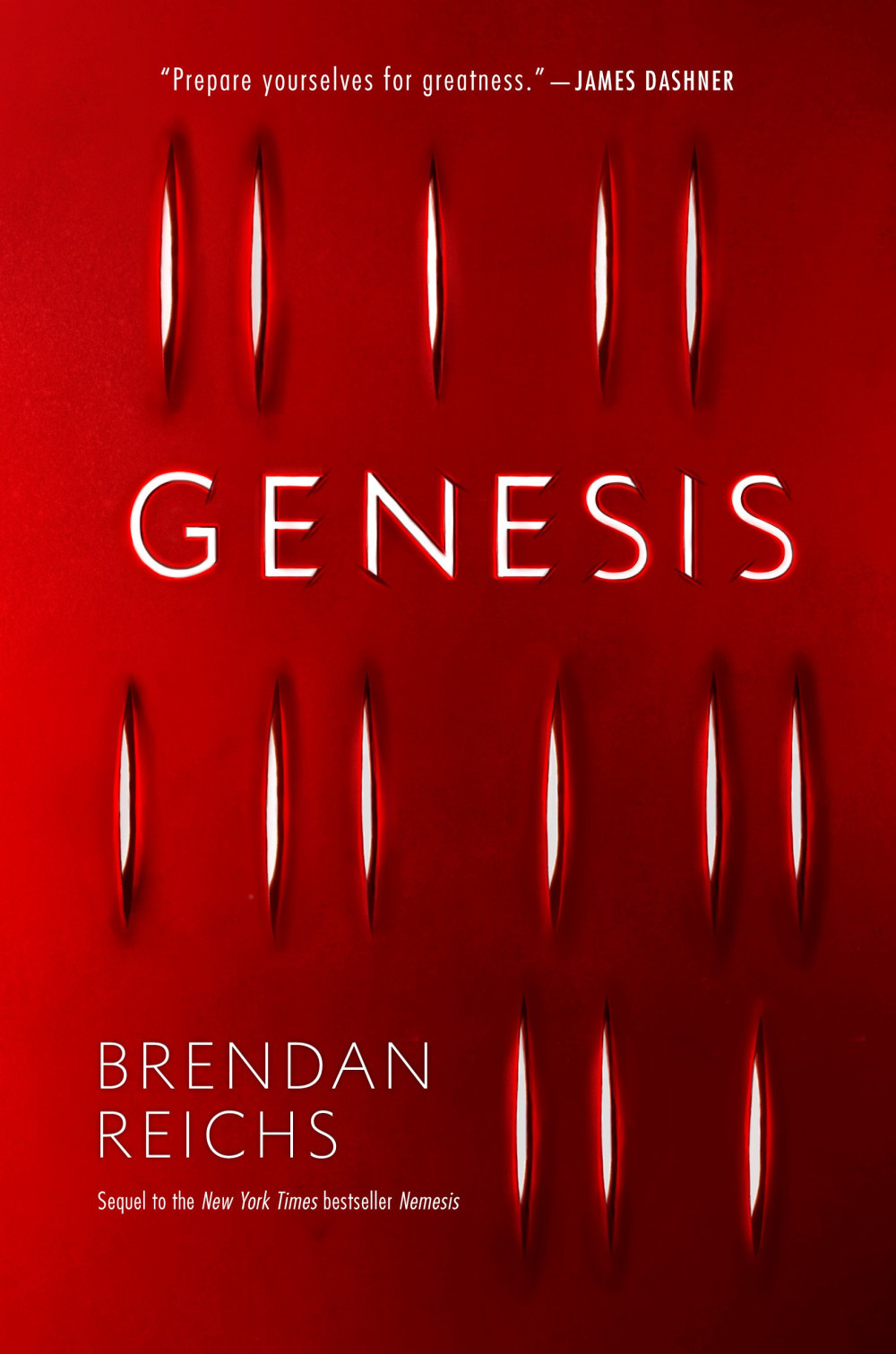 Project Nemesis book cover 2