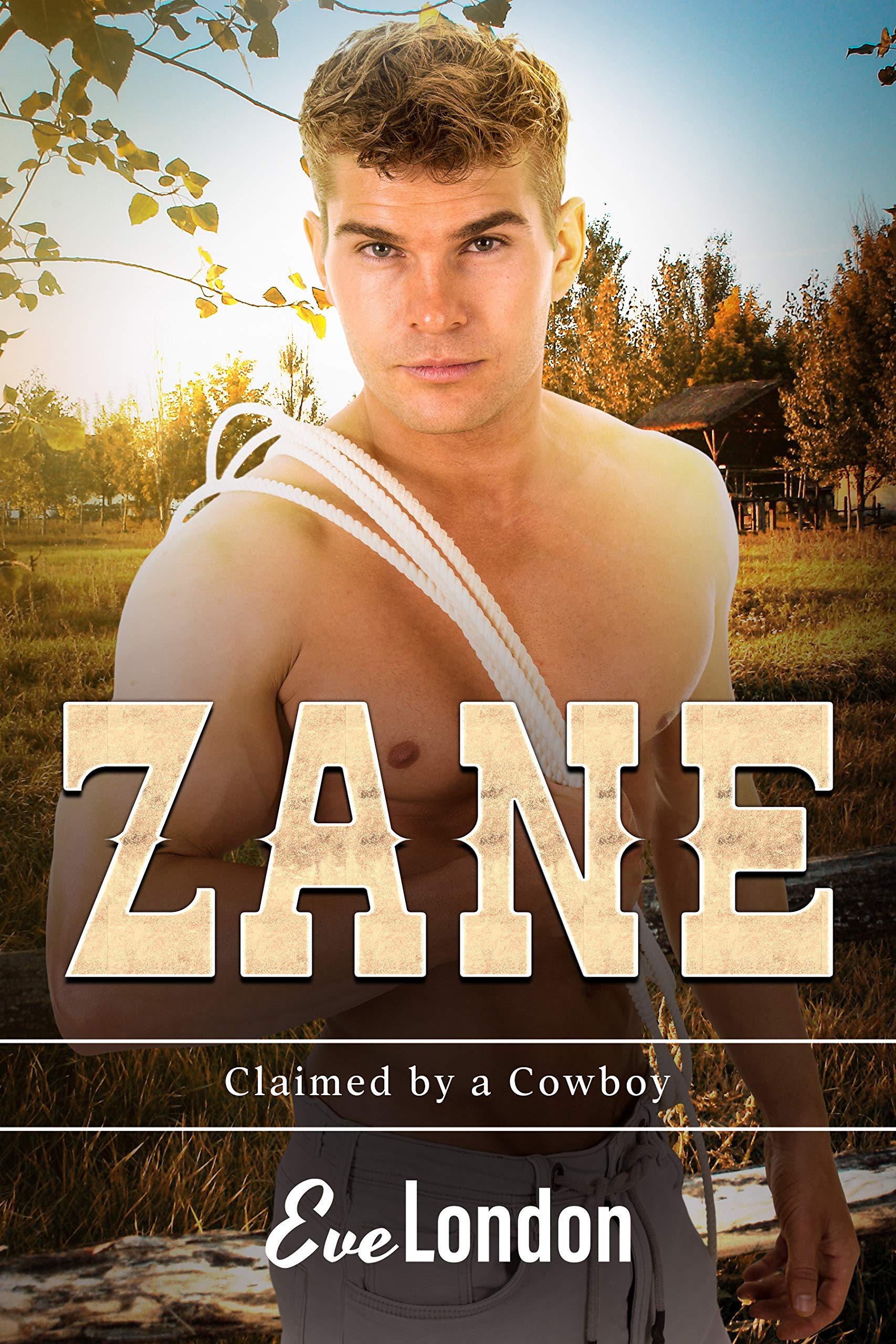 Zane book cover