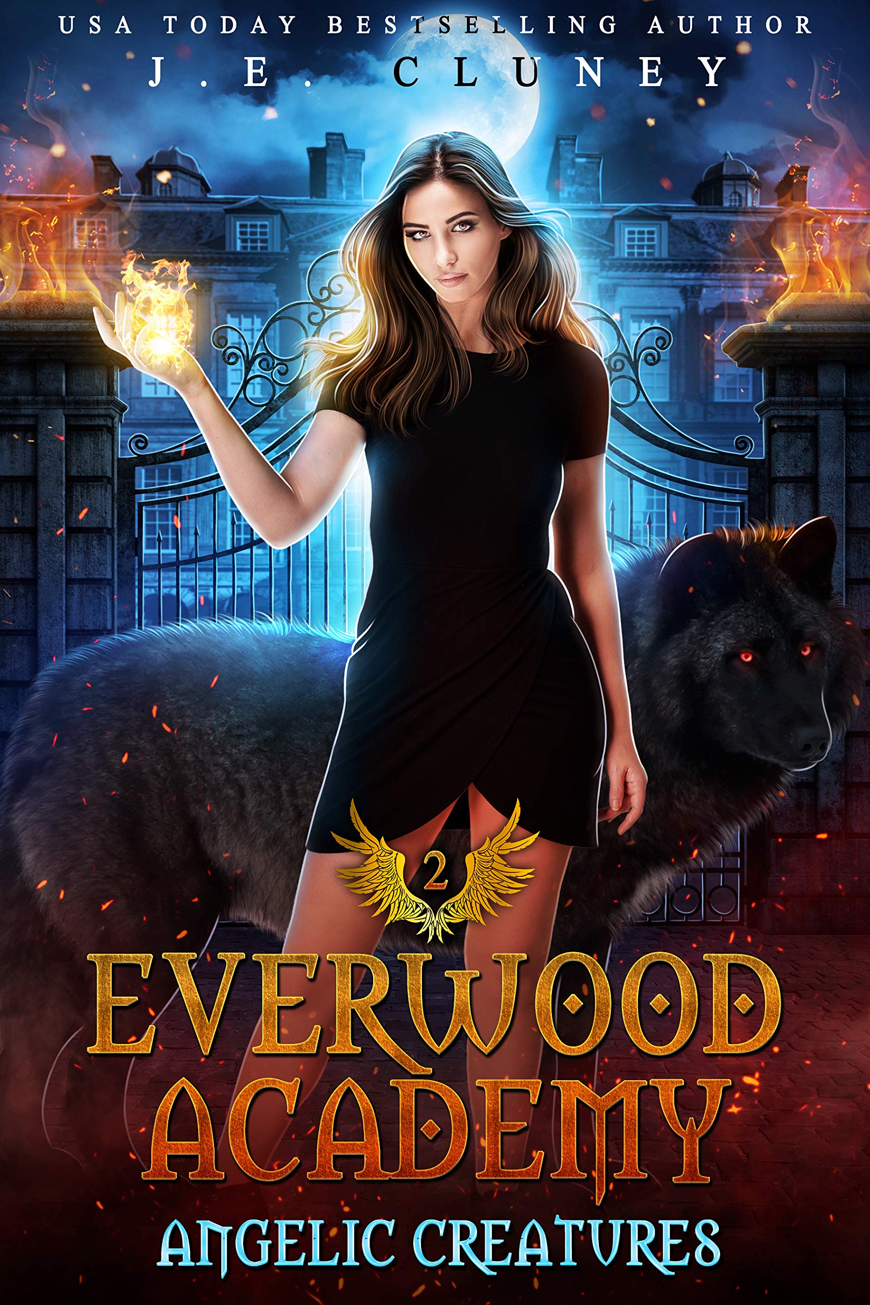 Everwood Academy book cover 2