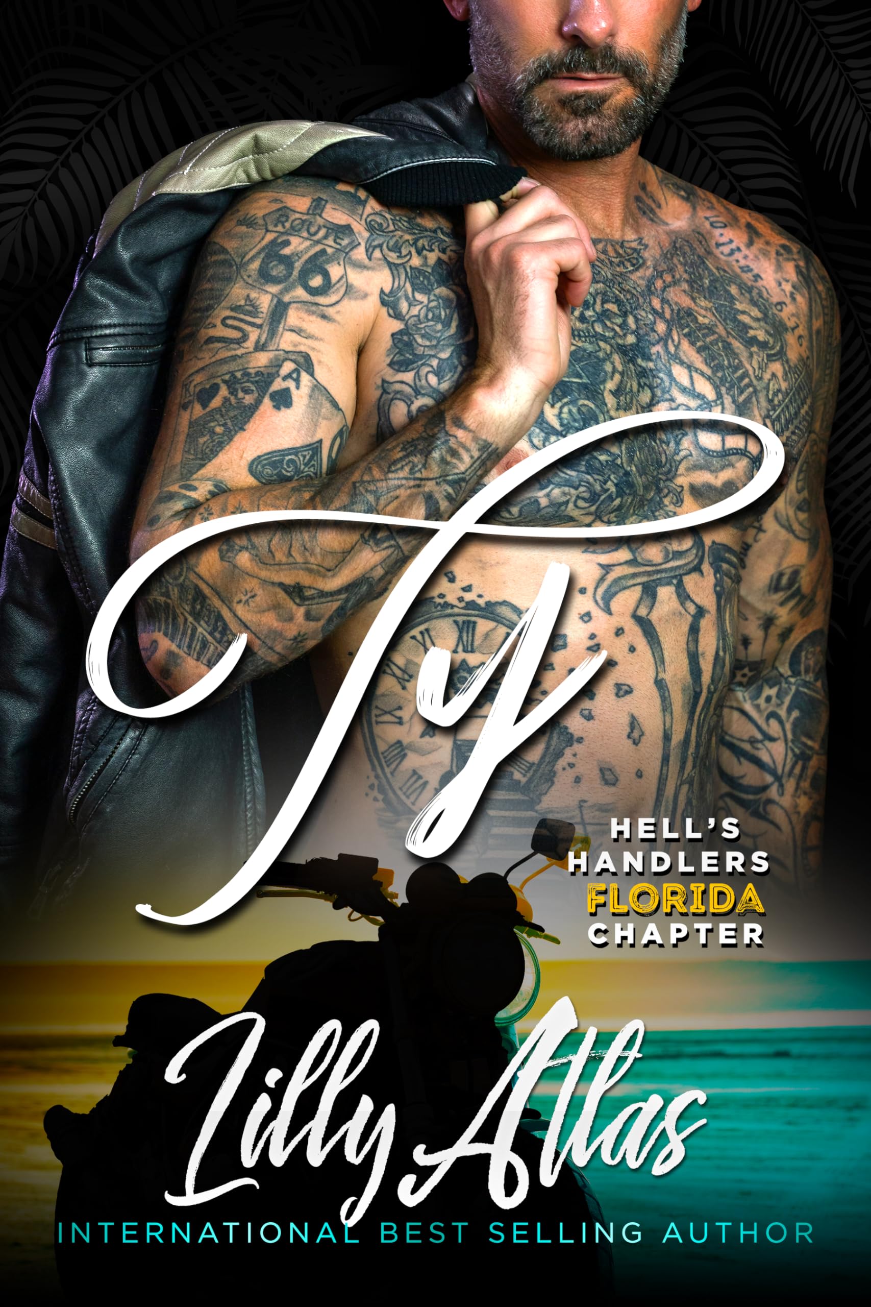 Ty book cover