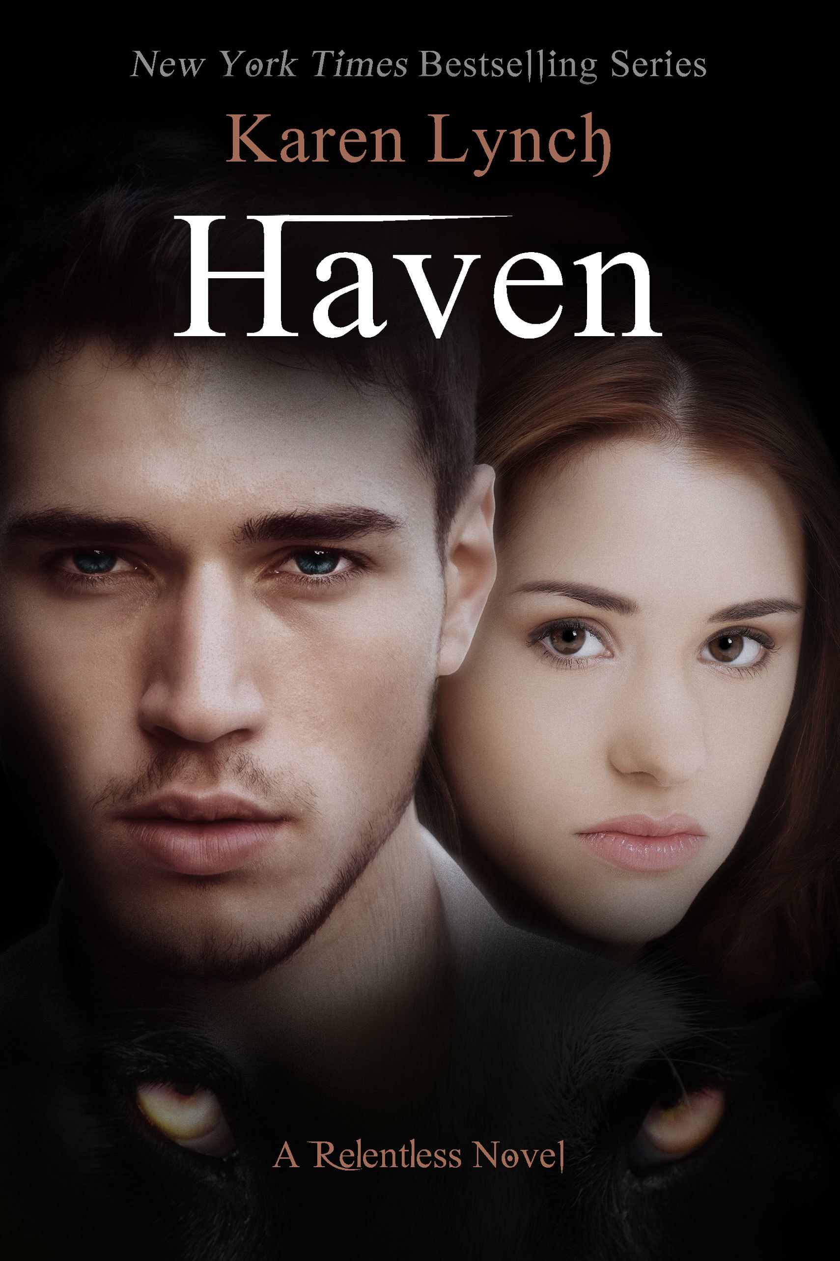 Haven book cover