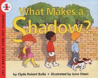 What Makes a Shadow? book cover
