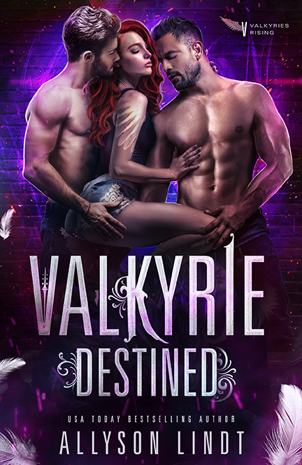 Valkyries Rising book cover 1