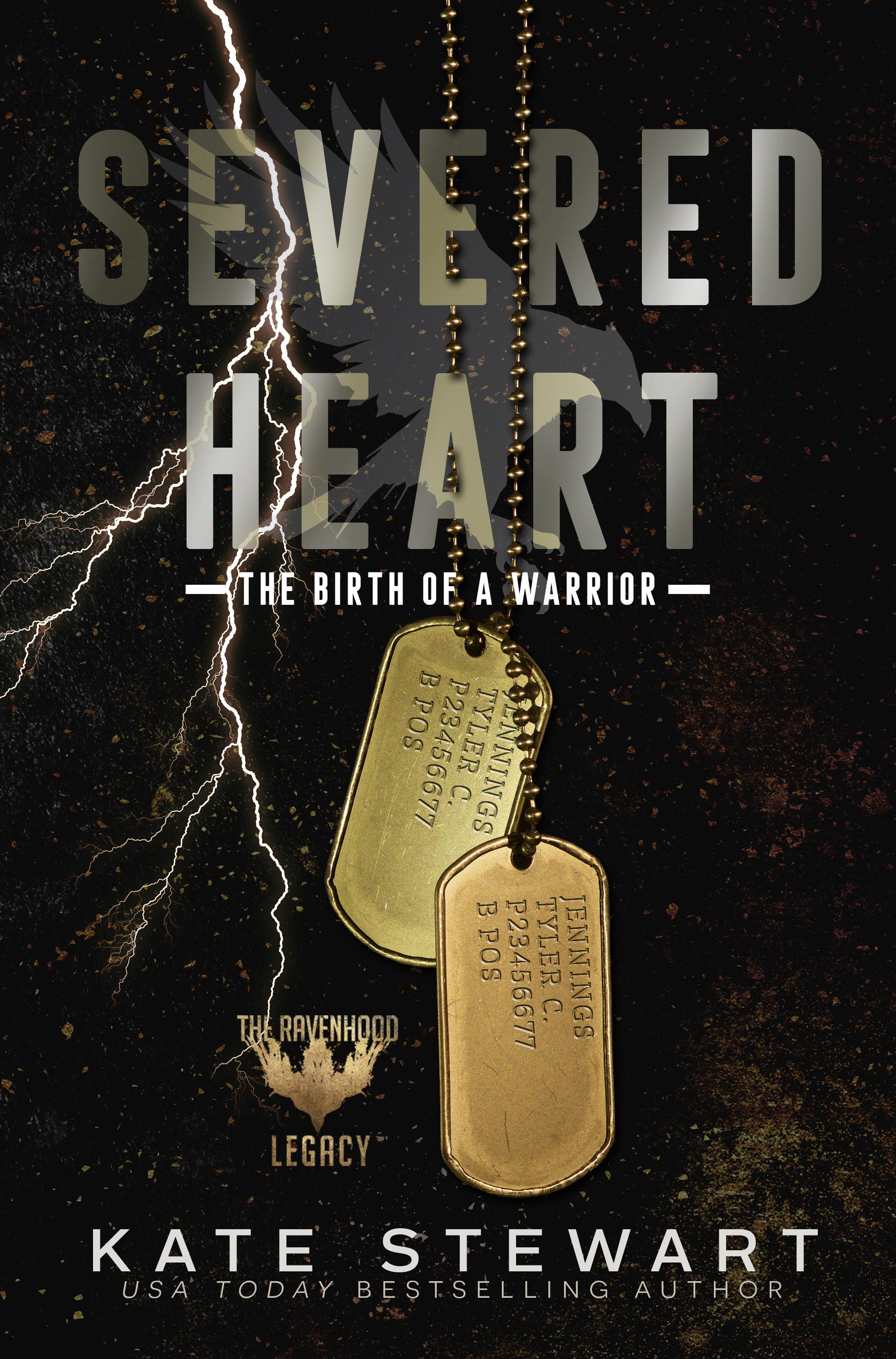 Ravenhood Legacy book cover 2