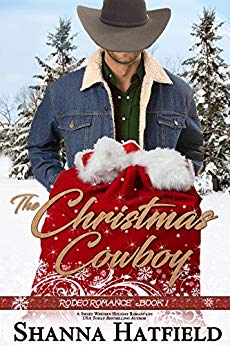 Rodeo Romance book cover 1
