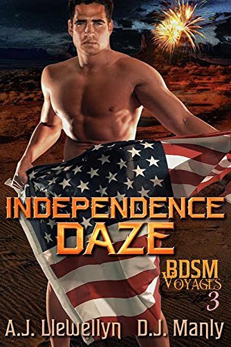 BDSM Voyages book cover 3