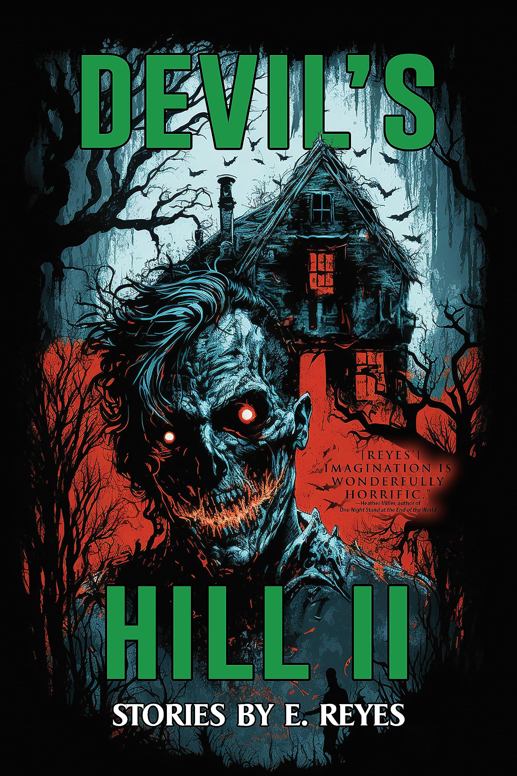 Devil's Hill II book cover