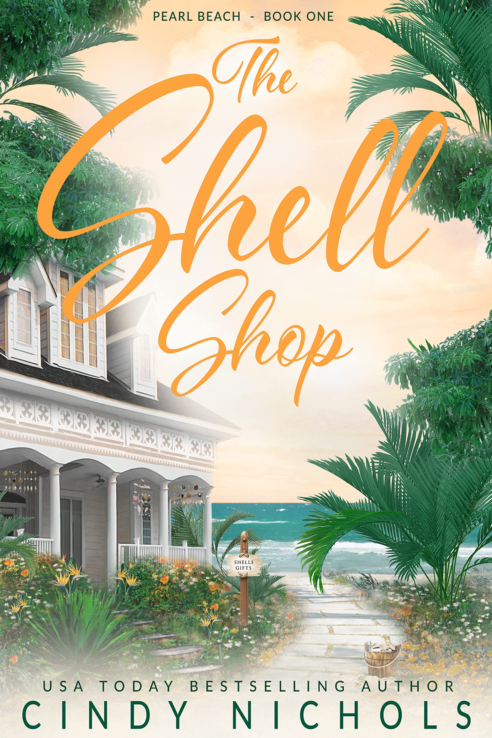 The Shell Shop book cover