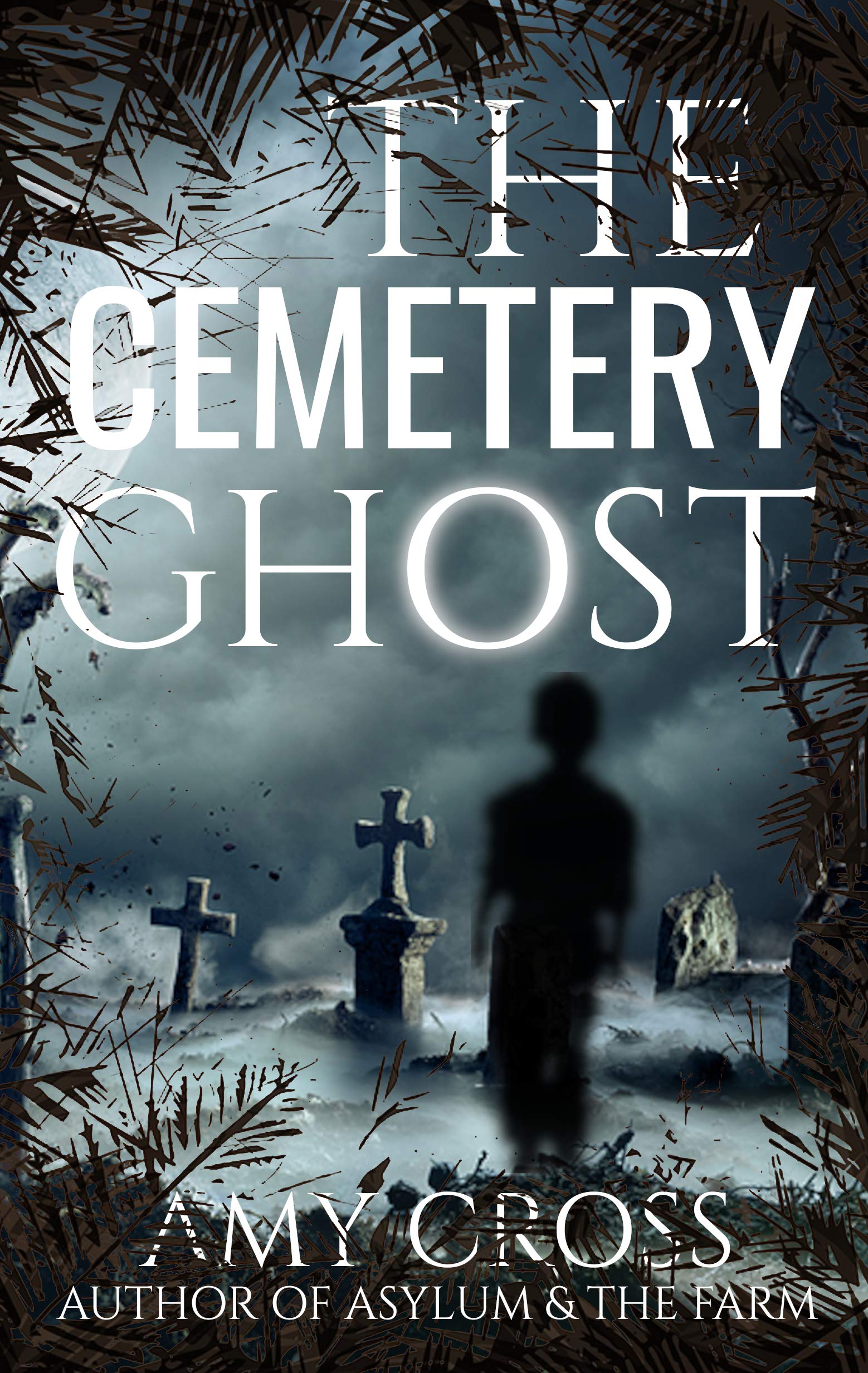 The Cemetery Ghost book cover