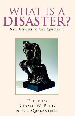 What Is a Disaster? book cover