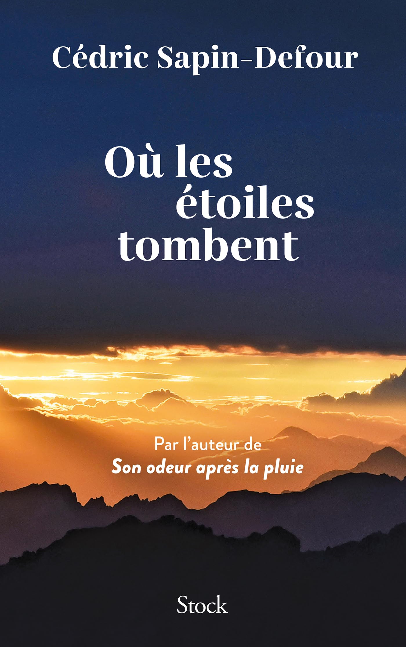 Où les étoiles tombent book cover