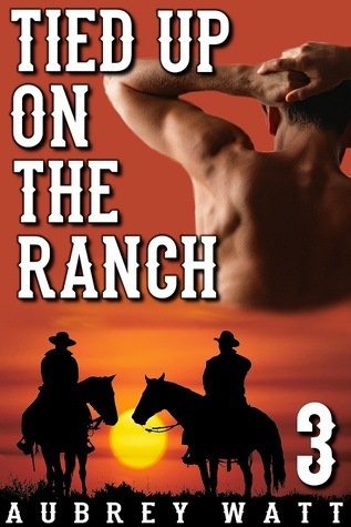 Gay Cowboys book cover 3