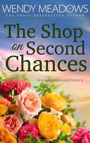 The Shop on Second Chances book cover